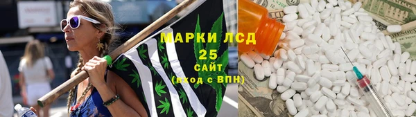 СК Медвежьегорск