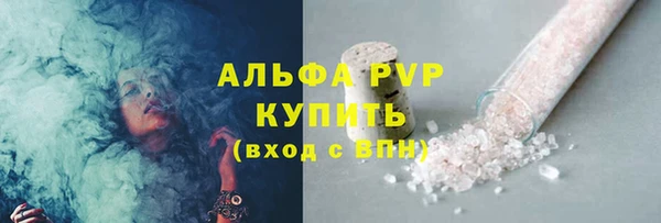 дживик Мегион