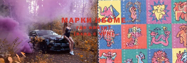 СК Медвежьегорск