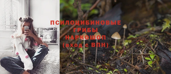 метадон Медногорск