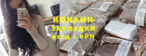 дживик Мегион