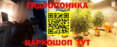 сатива Пугачёв
