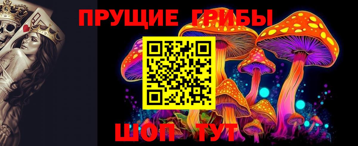 Псилоцибиновые грибы MAGIC MUSHROOMS  Вход с VPN  Галлюциногенные грибы GOLDEN TEACHER  Ярцево 